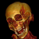 Imagen para el artículo titulado La muerte de “la mujer que grita”, la momia de hace 3.000 años, ya tiene explicación